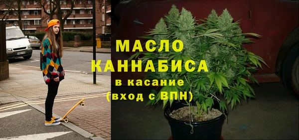 spice Богородск