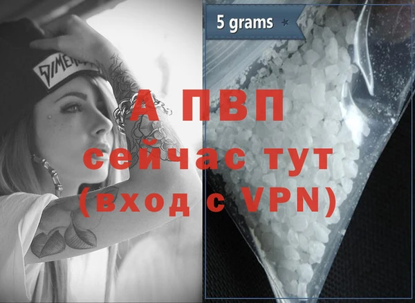 хмурый Богданович