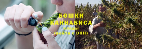 spice Богородск