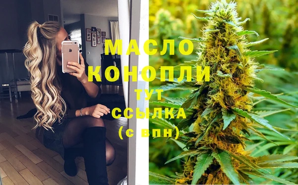 spice Богородск