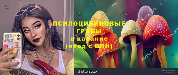 spice Богородск