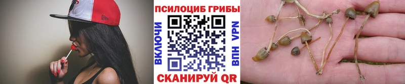 Галлюциногенные грибы ЛСД  Калининград 