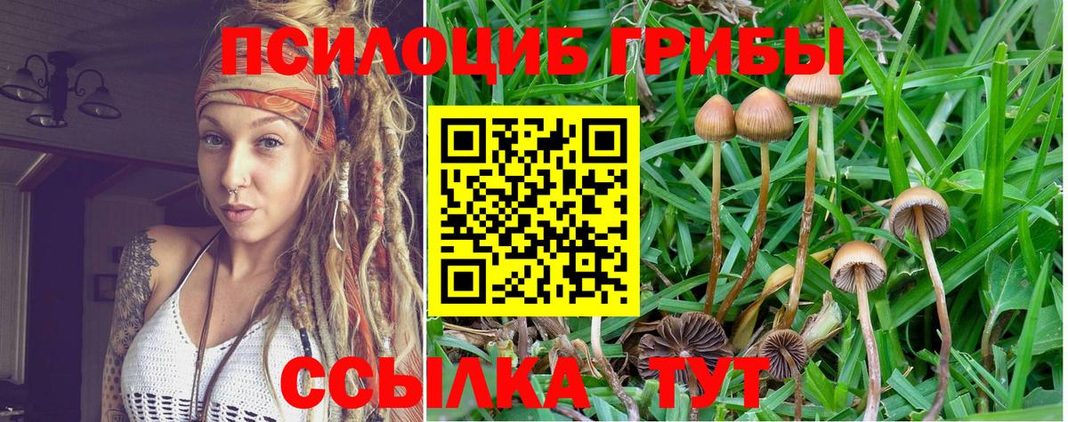 Галлюциногенные грибы Magic Shrooms  купить наркотик  Калининград  Вход с VPN 