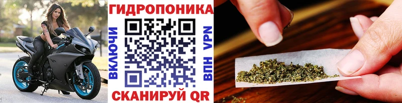 где купить   Калининград  гидра зеркало  Шишки марихуана марихуана 