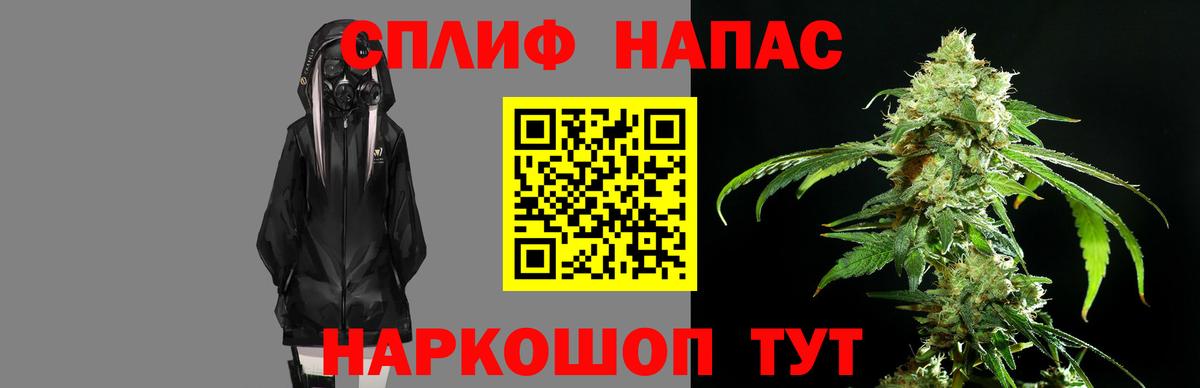 Конопля конопля Калининград